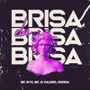 Ela Brisa (Explicit) - Mc W13&Mc Js Valioso&Dodida