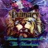 Primary - Brian Sonneman