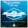 Sky Voice (Original Mix) - Olej&Etimkin