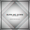 Burn Me Down (Rock Version) - Lollia