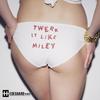 Twerk It Like Miley (Hedegaard Remix) - Brandon Beal&Hedegaard&Christopher