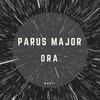 Synops (Original Mix) - Parus Major