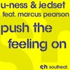 Push The Feeling On (Samson Lewis Deliciouse Mix) - U-Ness&JedSet&Marcus Pearson
