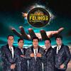 Amanda Baila Con La Banda - Los Felinos de Johnny Zavala