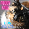 Pussyface (Explicit) - Jew Heard