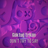 Don't Try To Say (Original Mix) - Göktuğ Erkün