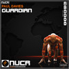 Guardian (Radio Edit) - Paul Davies