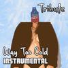 Way Too Cold (Kanye West Feat. Dj Khaled Instrumental Tribute) - The Dream Team