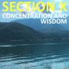 A Muse for Spiritual Practice - Section X