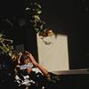 BackPack Murapo (Explicit) - Francis Blaz3&Killer Kid