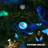 Exploring The Dark Universe (Original Mix) - Space Pirate