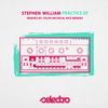 Practice (Felipe Michelin Remix) - Stephen William&Felipe Michelin