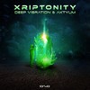 Xriptonity (Original Mix) - Deep Vibration&Aktyum