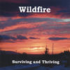 It ain't over - Wildfire