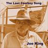 The Last Cowboy song - Joe King