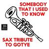 Somebody That I Used to Know (Sax Tribute to Gotye) - Mr. Saxobeat