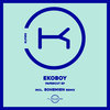 Control Your Body (Radio Edit) - Ekoboy