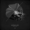 Crash Code - Normalize