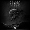 No Fear (SNVWT Remix) - Spinus