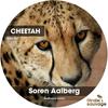 Cheetah (Redhead Remix) - Soren Aalberg