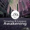 Awakening (Random Hero Remix) - Losque&Timplay