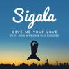 Give Me Your Love (Andy C Remix) - Sigala&John Newman&Nile Rodgers