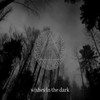 Wishes in the Dark - A.C.L