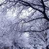 baby it's cold outside feat. RYCE, barnes blvd. - RYCE&barnes blvd.&Lanie