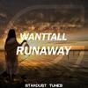 Flame (Original Mix) - Wanttall