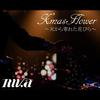 X'mas Flower - Riva