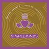 Goodnight - Simple Minds