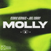 MOLLY (Explicit) - Cedric Gervais&Joel Corry