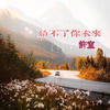 给不了你未来 (DJ抖音版) - 許宣&忠成先生&李奕然