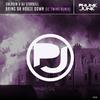 Bring Da Houze Down (EC Twins Remix) - DJ Starkill&Saladin