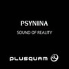 Sound of Reality - PsyNina