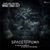What That Is (Original Mix) - Fabio Ferrini&Roland Clark