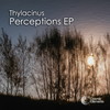 They Respect Nothing (Original Mix) - Thylacinus