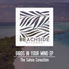 Birds In Your Mind (Original Mix) - The Sahoo Conection