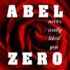 Never Really Liked You (Radio Edit) - Abel Zero