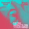 I Know What's on Your Mind (Main Mix Instrumental) - Tortured Soul&Black Coffee