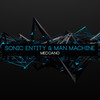 Phoenix (Man Machine Remix) - Sonic Entity