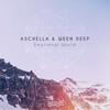 Ice Storm - Aschella