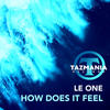 How Does It Feel (Radio Edit) - LE ONE