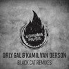 Black Cat (Catsinka Remix) - Orly Gal&Kamil Van Derson&Catsinka