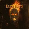 Burn hard(feat. Sugarcult, zebrahead & Col3trane) - Bobby khane&Sugarcult&Zebrahead&Col3trane