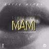 Tengo una Mami - Raffy Nitro