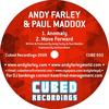 Anomaly (Original Mix) - Andy Farley&Paul Maddox