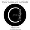 Gestures (Magnetic Brothers Remix) - Everbeatz&Damir Ludvig