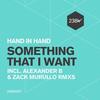 Something That I Want (Alexander B Remix) - Hand in Hand