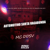 Automotivo Surta Vagabunda (Explicit) - Mc DDSV&DJ C15 DA ZO&Igor vilão&DJ Menor da Dz7&DJ M13 DA ZO
